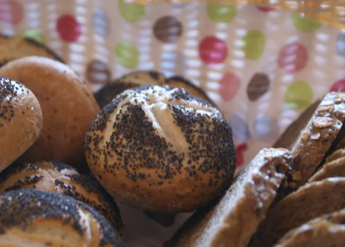 Guest house Nowy Folwark 